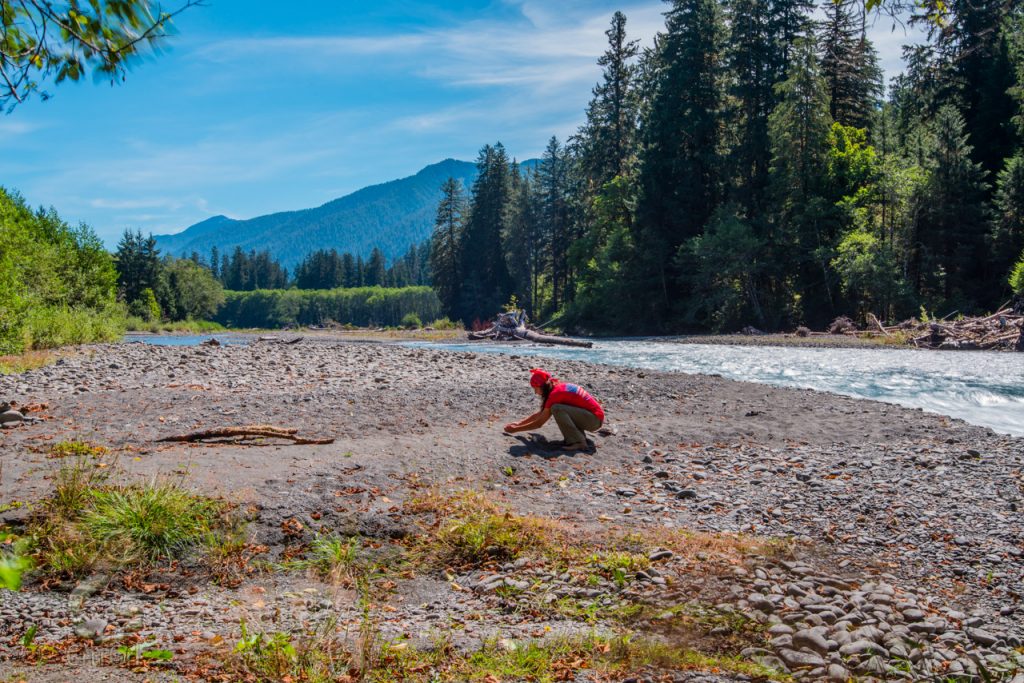 CrtrGrl exploring for bugs along the Hoh River, Olympic National Park, WA. Photo by Scott McGee at Under Pressure Photography