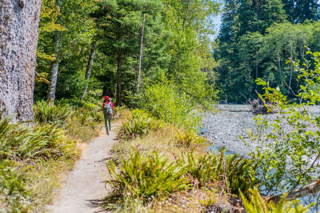 CrtrGrl hiking the Hoh River Trail, Olympic National Park, WA. Photo by Scott McGee at Under Pressure Photography