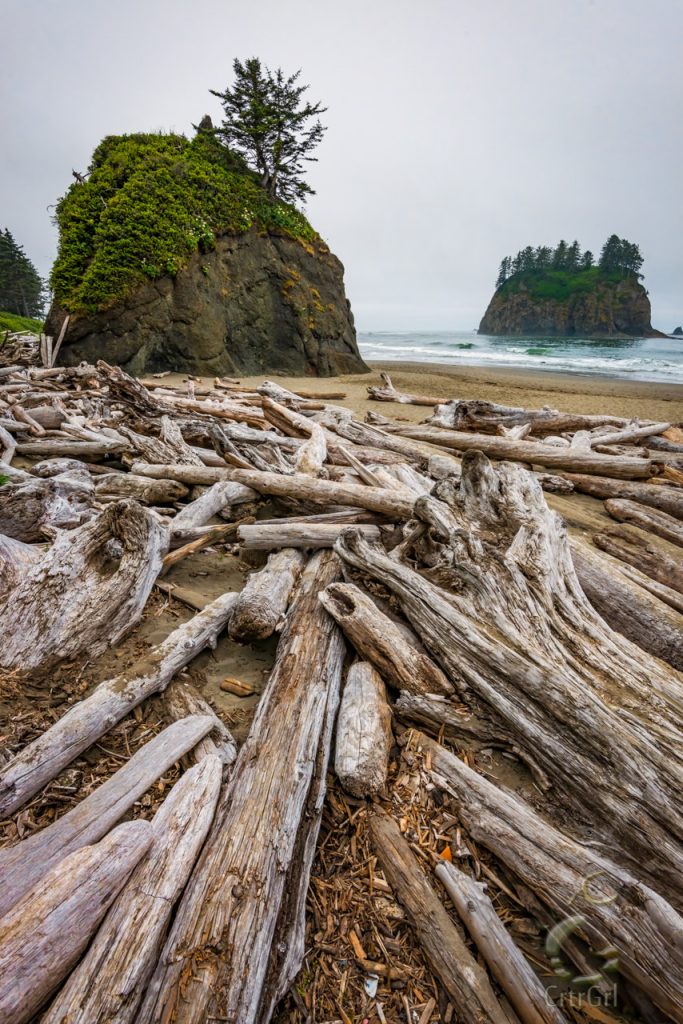 Driftwood leading to the rock island stacks on 2nd Beach, WA. Photo by Scott McGee at Under Pressure Photography