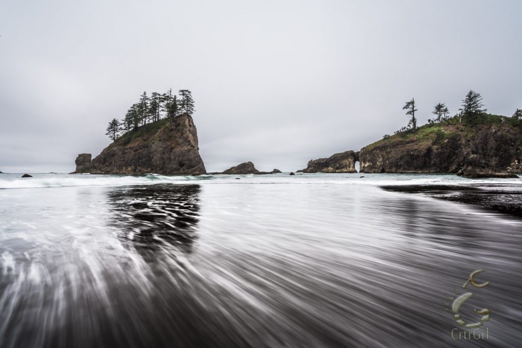 Wooded stacks and an arch at 2nd Beach, Olympic National Park, WA. Photo by Scott McGee at Under Pressure Photography