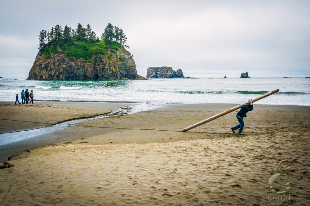 A homeless man finds materials to build shelter at 2nd Beach, WA. Photo by Scott McGee at Under Pressure Photography