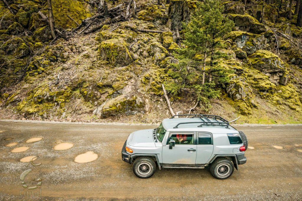 Pothole road to the enchanted forest in Olympic National Park.