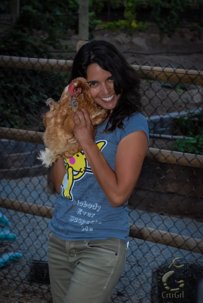 A hen I pet sat & living the cruelty free lifestyle. She loved to be carried this way as long as I kept rubbing her belly. What a lush! 