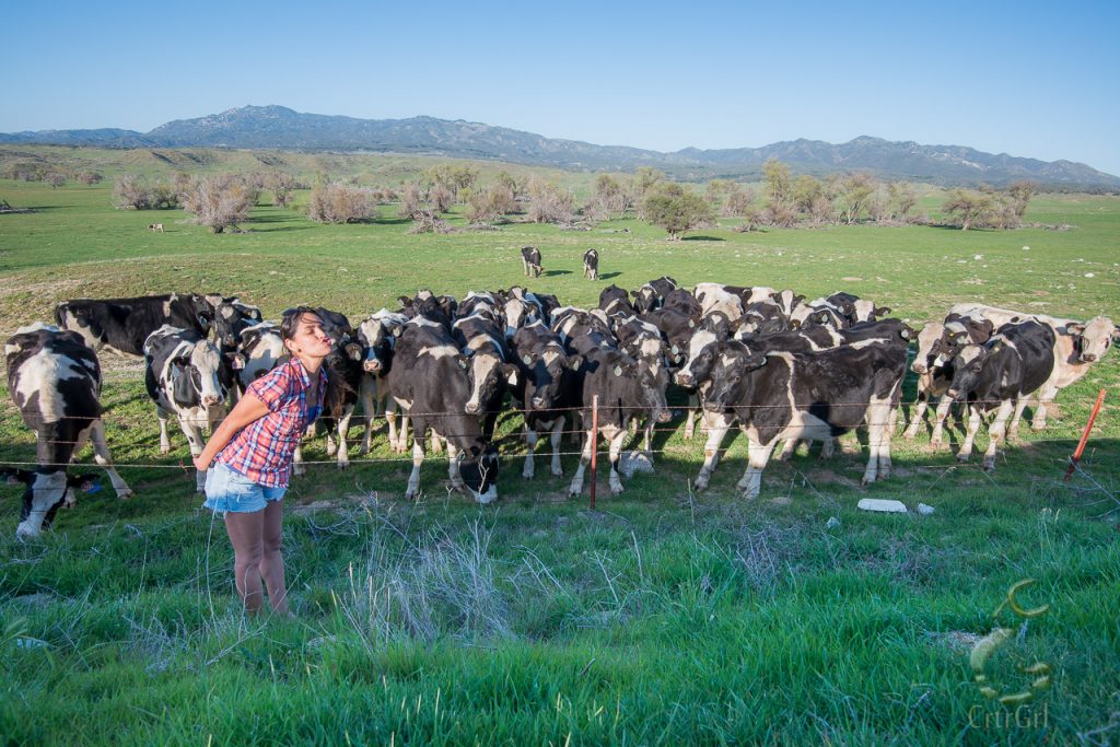 Cruelty Free Living - The relationship I have with cows now is mooing with them <3 Borrego Springs, CA.