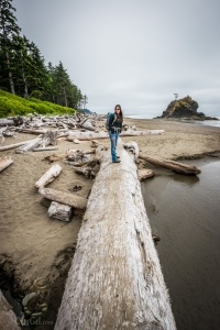 Fallen Trees Are Nature's Bridges