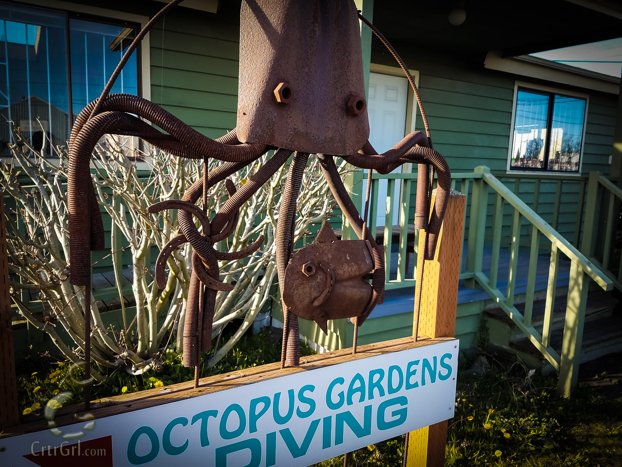 Garden Of Crtrs