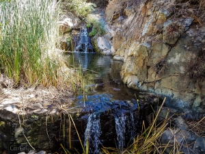 Copper Creek Trail