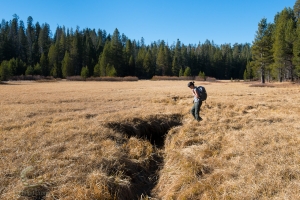 Cracked Meadow