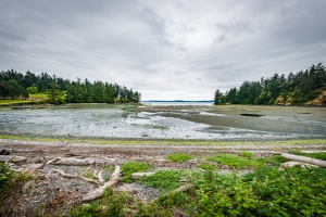 The Reveals Of Low Tide